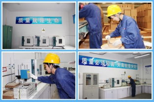 海螺耐火材料公司 服務水泥主業(yè)，打造行業(yè)精品耐火材料